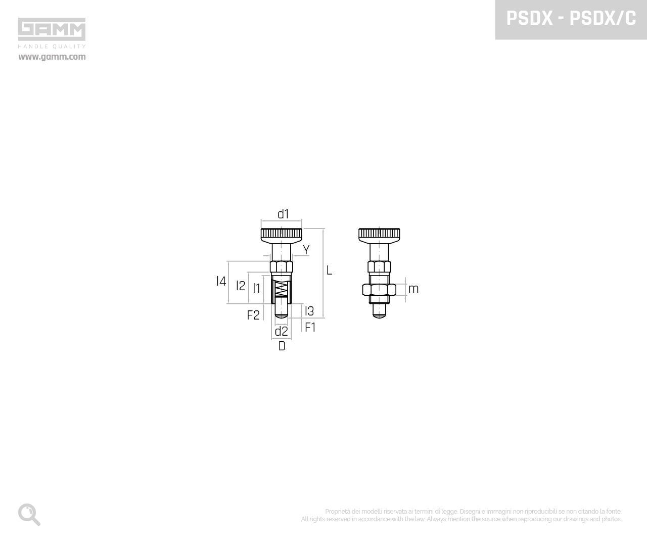PSDX PSDX C disegno pistoncini e pressori GAMM