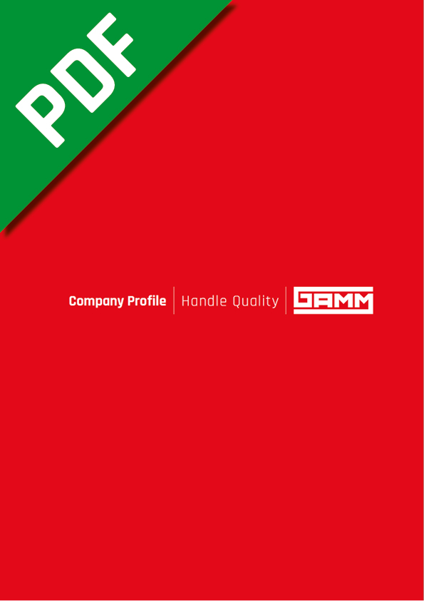 Cover PDF company profile WEB GAMM